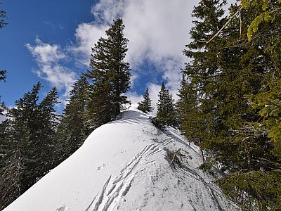 Am Grat halten wir uns rechts nach Westen
