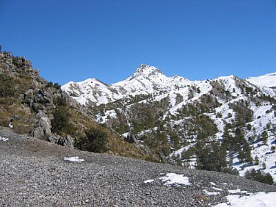 Zum Gipfel ist's noch ein ganzes