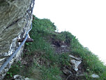 Grasige Querung