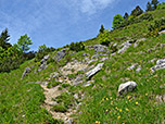 ...wird zum Schluss hin nochmal steiler