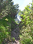 Wir wandern durch eine schrofige Rinne