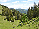Über schönes Wiesengelände wandern wir hinunter...