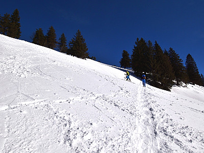 In zwei, drei Spitzkehren ist der Grat der Tristmahlnschneid erreicht