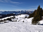 Der Ausblick zurück auf die Goglalm 