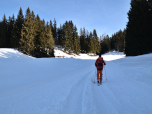 Nur leicht ansteigend führt uns die Straße durch eine Schneise