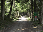 Zuerst über einen breiten Forstweg...