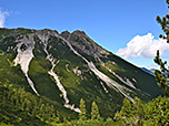 Die Treiköpfe