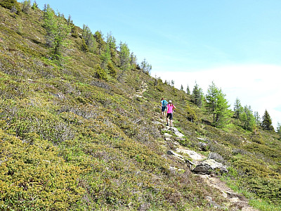 Dahinter steigen wir etwas steiler auf