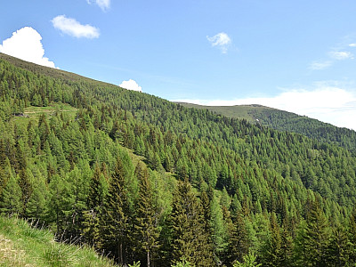 Der Blick über die sanften Hänge Richtung Tschierweger Nock