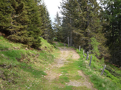 Über den weitgehend ebenen Jagasteig... 