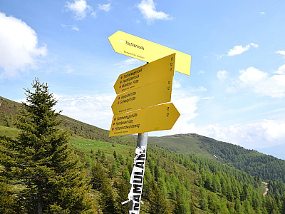 Wir bleiben auf dem Weg 12 Richtung Hochpalfennock