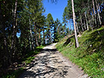 Über den breiten Forstweg geht es in Richtung Karröster Alm