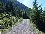 ...und biegen schließlich rechts ab Richtung Bergwachthütte