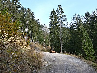 Eine Ruhebank des Meditationsbergwegs lädt zum Verweilen ein