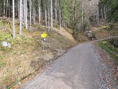 Hier biegen wir links auf den kleinen Pfad ab