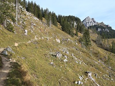 Hier auf den unscheinbaren und unmarkierten Pfad nach links wechseln