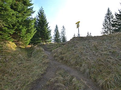 Wieder am Grat ... 
