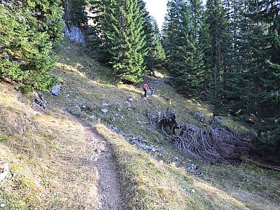 ... führt uns der Weg nahezu eben nach Südosten