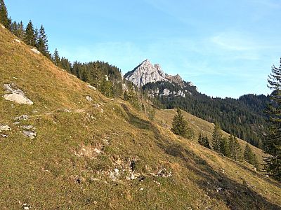 Noch einmal blicken wir zurück zum Wendelstein, bevor wir durch den Wald ...