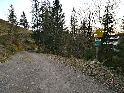 Hier halten wir uns rechts und steigen steil zurück nach Geitau ab.