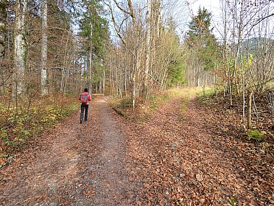 Wir wählen den Weg links und überqueren den Kuttenraingraben