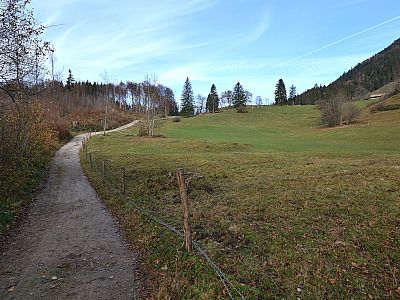 An Almwiesen vorbei gewinnen wir gemächlich an Höhe