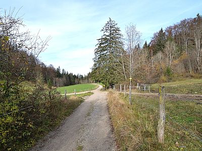 Hier biegen wir scharf rechts ab ...