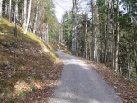 Stetig gewinnen wir auf der Forststraße an Höhe