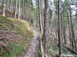 Durch den Wald gewinnen wir weiter an Höhe