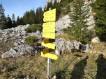 ... und wählen hier den Weg nach Geitau