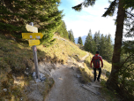 Hier biegen wir rechts ab und folgen dem Wegweiser nach Geitau