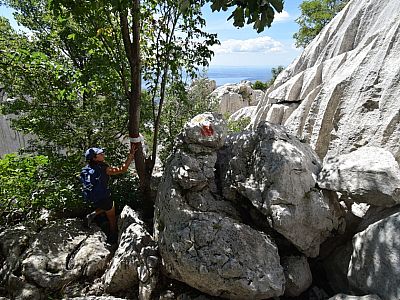 Es geht links am Baum vorbei...