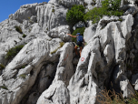 Im typischen Velebit Fels queren wir nach Westen