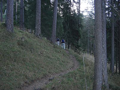 Der Steig zur Köglalm