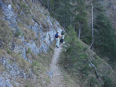 Über den kurzweiligen Steig