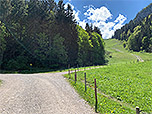 Wir erreichen die Piste