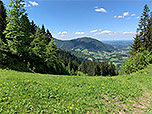 Erste Ausblicke