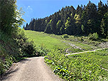...und zurück zur Piste