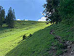 ...bringt uns zum Waldrand...