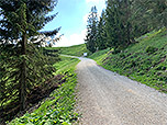 ...und zurück zum Fahrweg