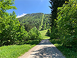 ...leitet uns auf den Unternberg zu