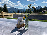 Zurück an der Unternbergalm