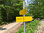 ...wählen wir den alten Weg zum Unternberg