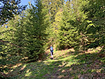 ...wandern durch den Wald weiter bergauf...