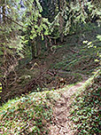 Es folgt ein weiteres Waldstück