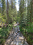 ...über den Rammelbach