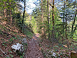 Der holprige Weg...