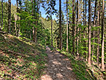 ...zurück zum Seehaus