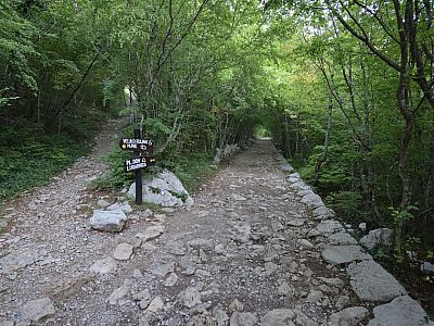 Wir marschieren weiter geradeaus