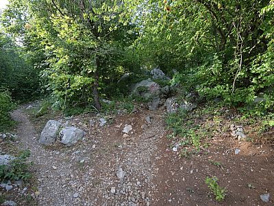 Hier rechts, und ...